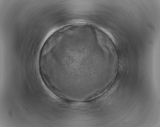 X0000111901475200908101130