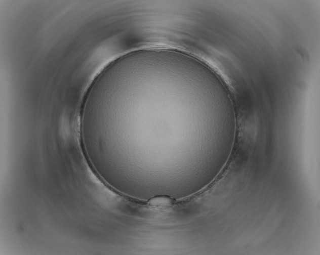 X0000111901476200908101130