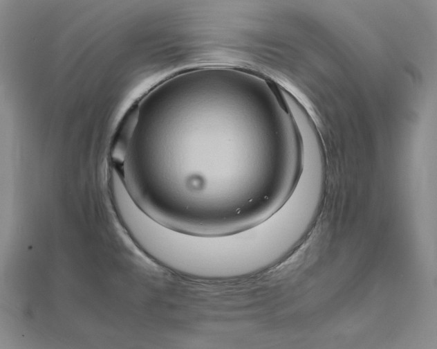 X0000111901477200908101130