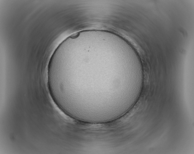 X0000111901479200908101130