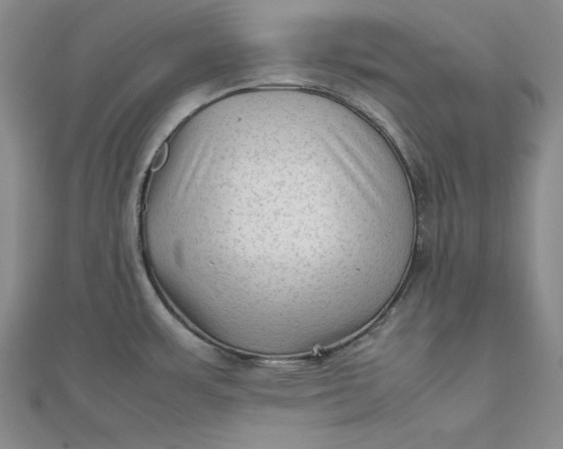 X0000111901483200908101130