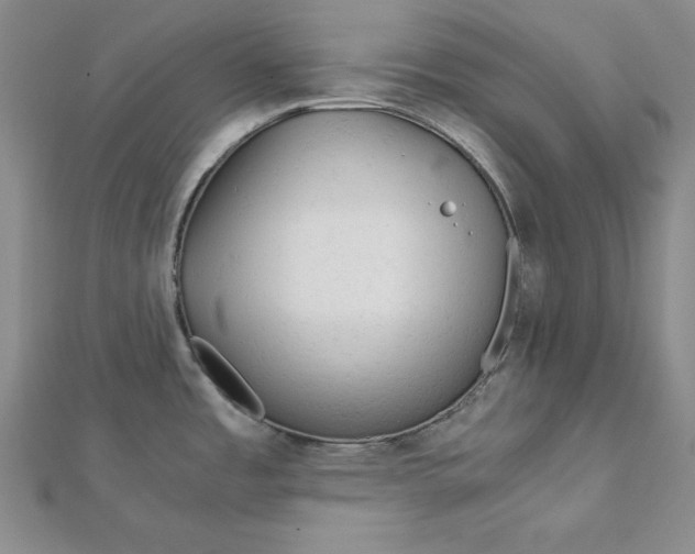 X0000111901485200908101130