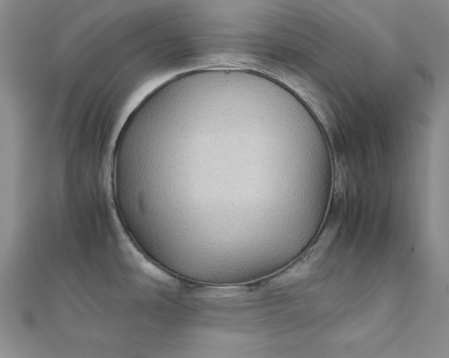 X0000111901486200908101130