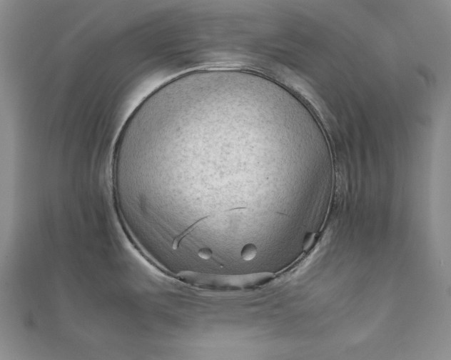 X0000111901487200908101130