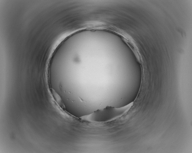 X0000111901488200908101130