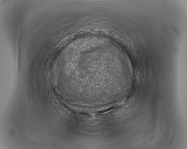 X0000111901489200908101129