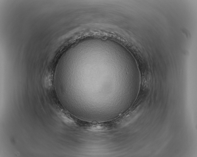 X0000111901490200908101129