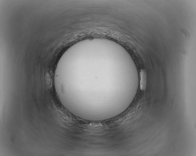 X0000111901491200908101129