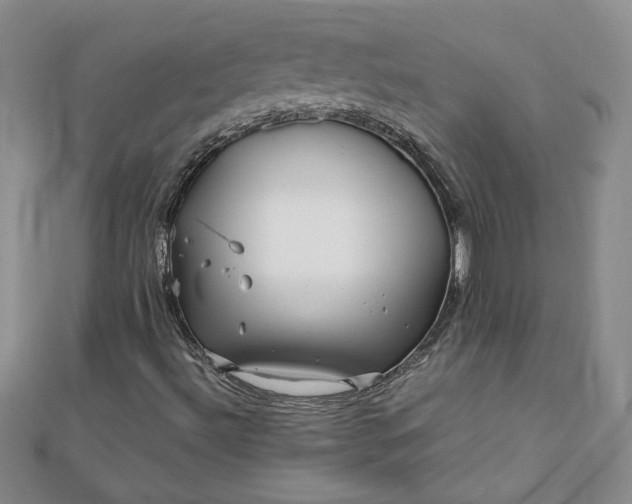 X0000111901492200908101129