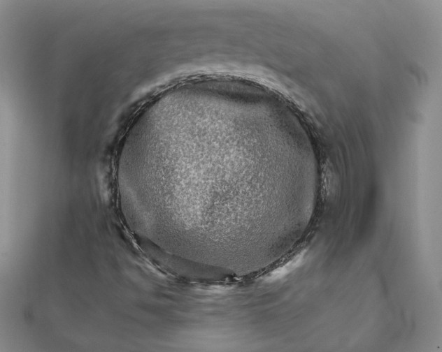 X0000111901494200908101129