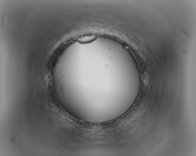 X0000111901495200908101129