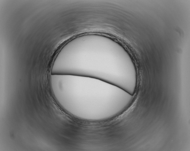 X0000111901497200908101129