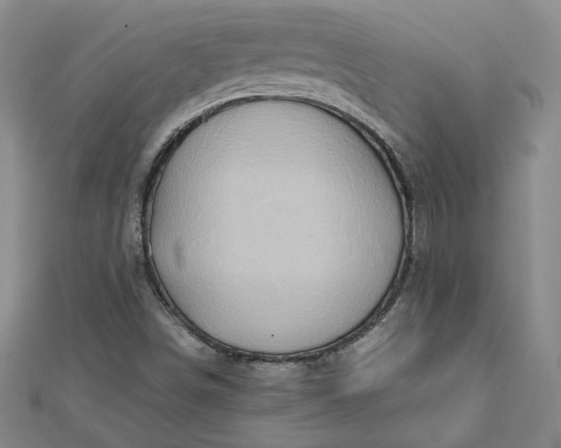 X0000111901498200908101129