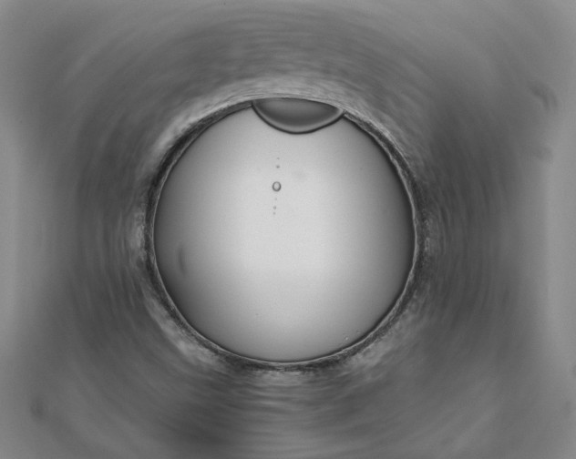 X0000111901499200908101129