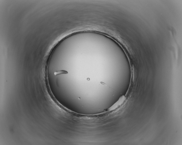 X0000111901500200908101130