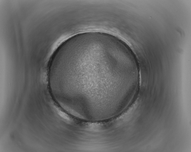 X0000111901501200908101130