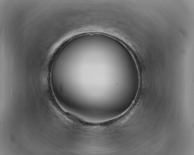 X0000111901502200908101130