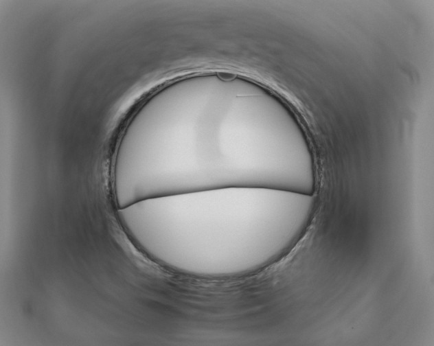 X0000111901503200908101130