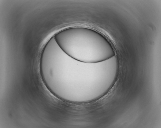 X0000111901504200908101130