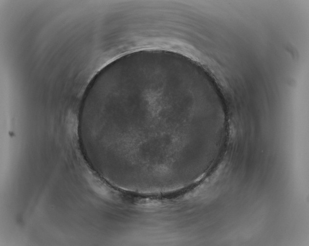 X0000111901505200908101130