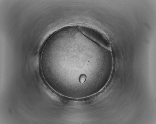 X0000111901506200908101130