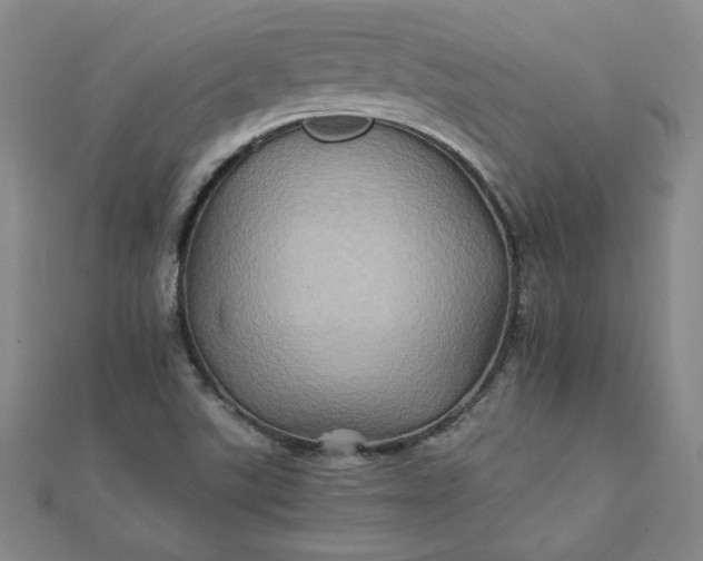 X0000111901507200908101130