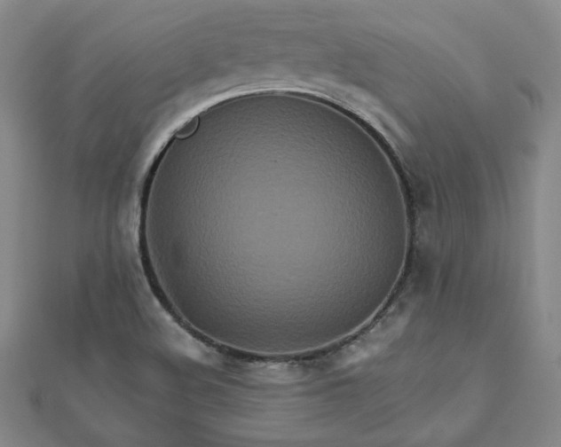 X0000111901508200908101130