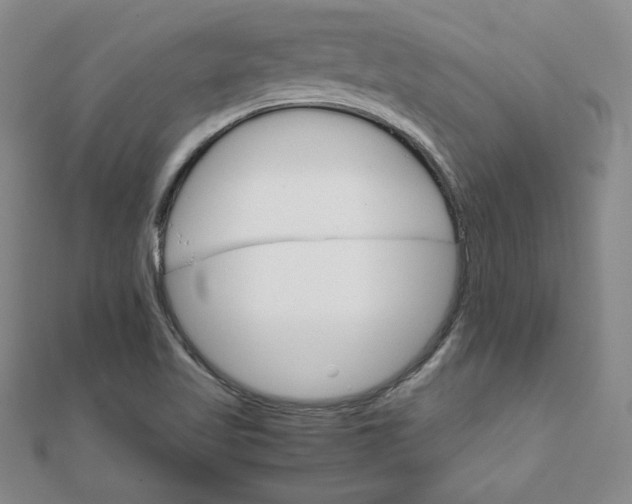 X0000111901509200908101130