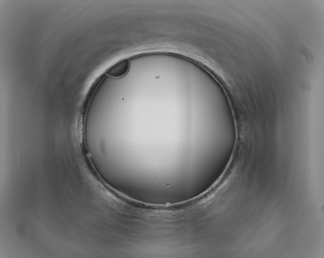 X0000111901510200908101130