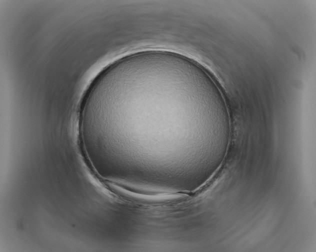 X0000111901511200908101130