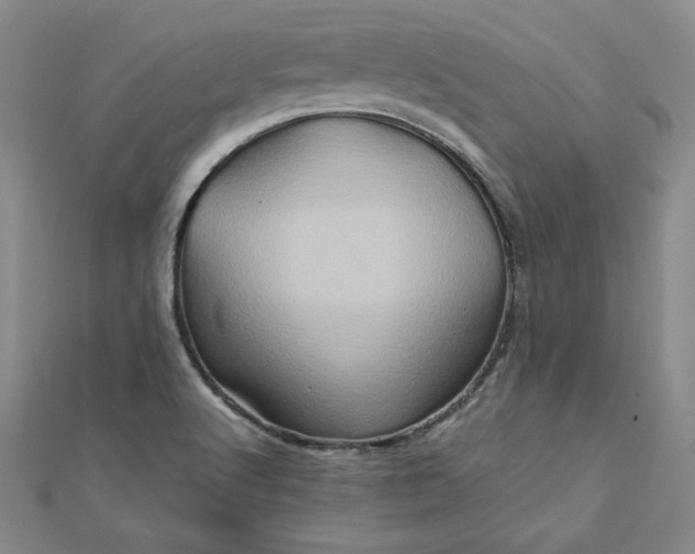 X0000111901512200908101130