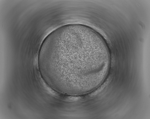 X0000111901513200908101130