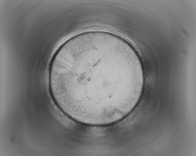 X0000111901514200908101130