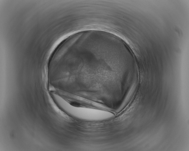 X0000111901515200908101130