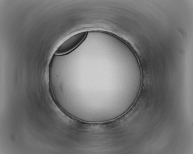 X0000111901516200908101130