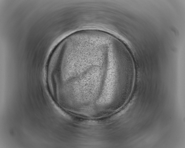 X0000111901517200908101130