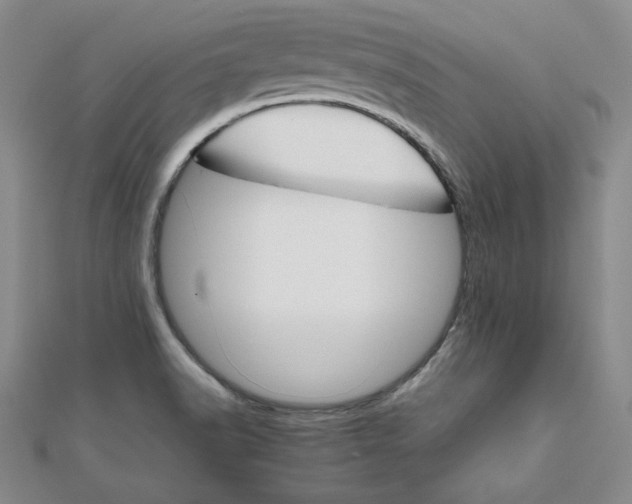 X0000111901518200908101130