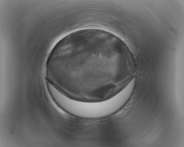 X0000111901519200908101130