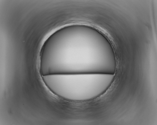 X0000111901520200908101130