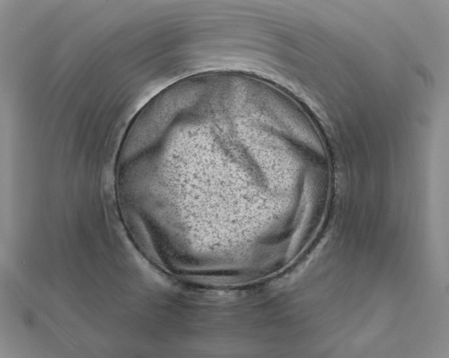 X0000111901521200908101130