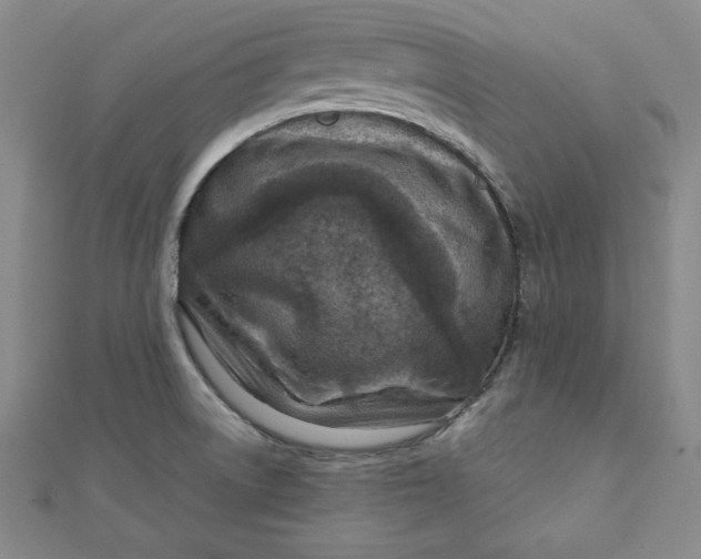 X0000111901522200908101130