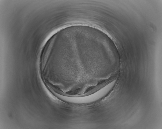 X0000111901523200908101130