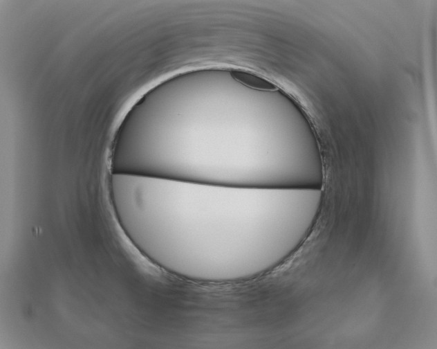 X0000111901524200908101130