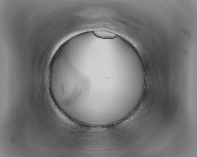 X0000111901526200908101130