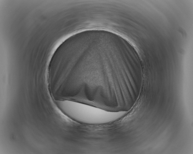 X0000111901527200908101130