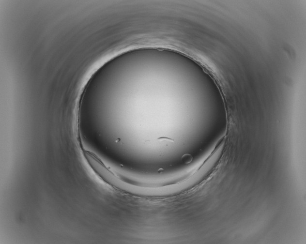 X0000111901528200908101130