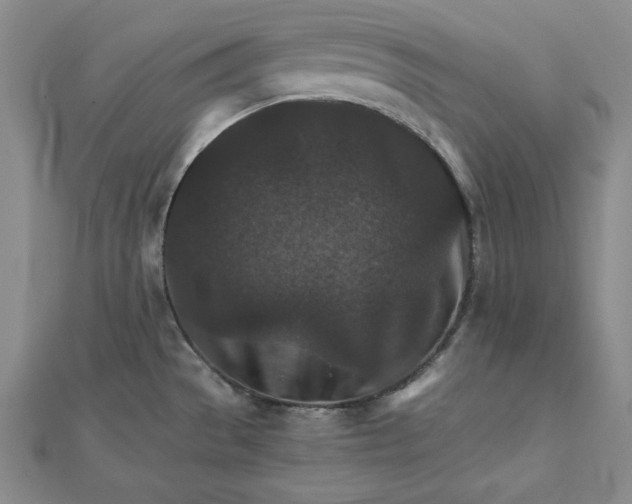 X0000111901529200908101130