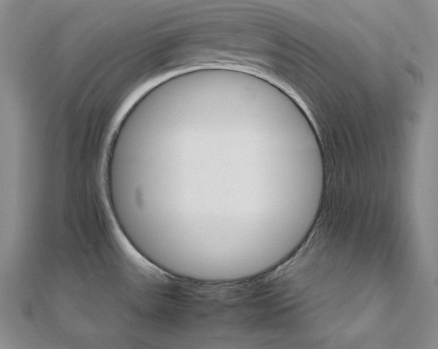 X0000111901531200908101130