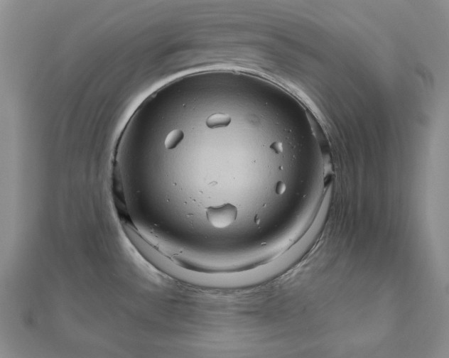 X0000111901532200908101130