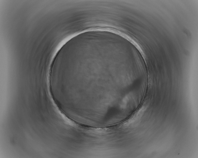 X0000111901533200908101130